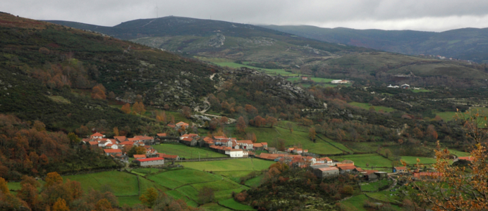 fervidelas