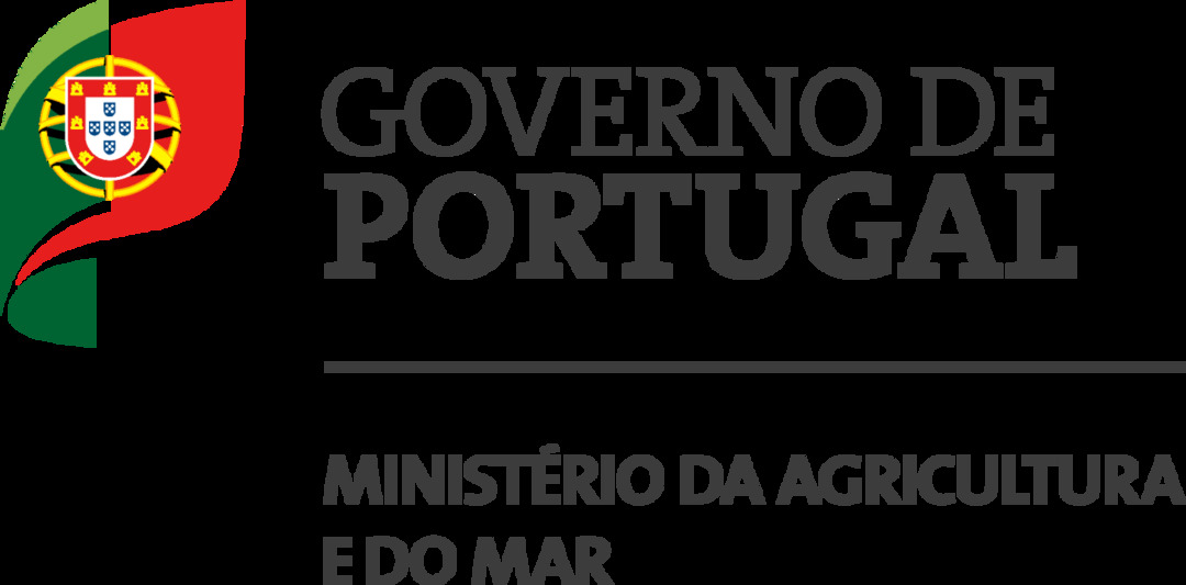 governo de portugal